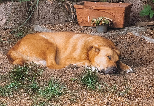 Marlies' story - Part 2 Vorschau