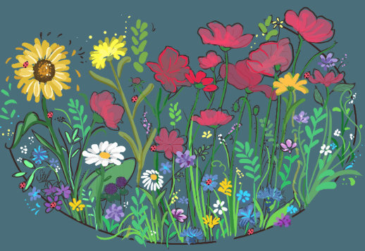 Find the ladybirds! Vorschau