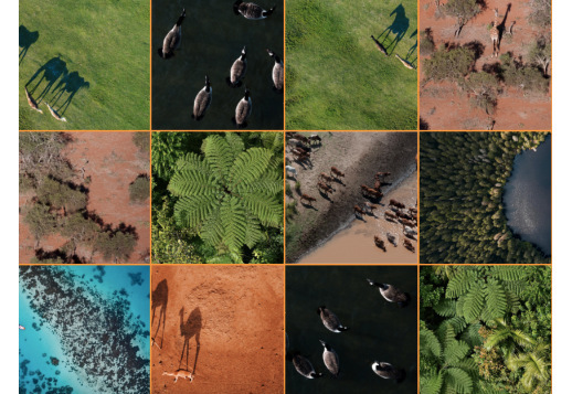 Bird´s eye view Vorschau