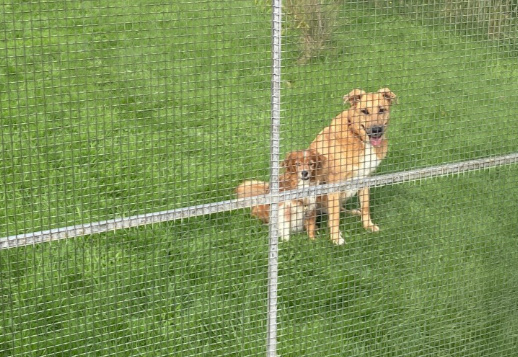 Marlies' story - Part 3 Vorschau