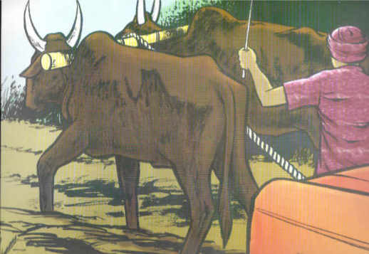 Ringu - Part 5 Vorschau