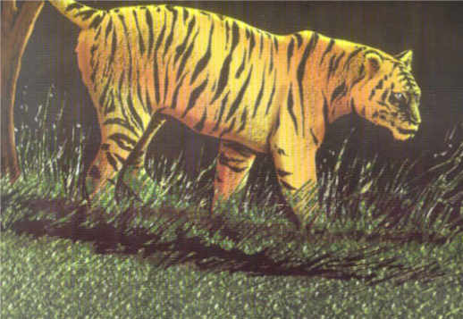 Ringu - Part 4 Vorschau