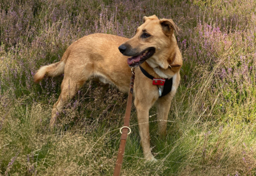 Marlies' story - Part 5 Vorschau