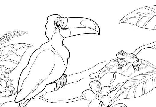 Draw a Toucan Vorschau