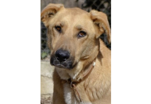 Marlies' story - Part 1 Vorschau