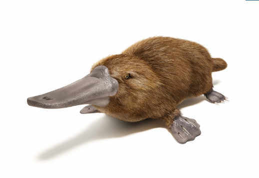 Unique And Unusual Vorschau