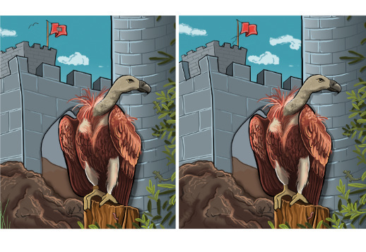 Vulture search image Vorschau