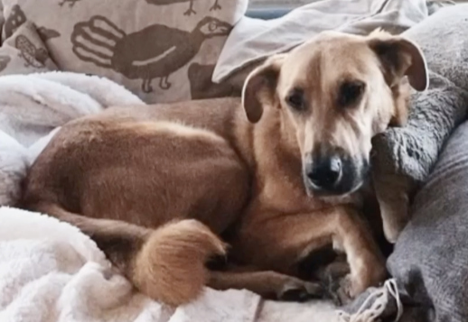 Marlies' story - Part 4 Vorschau